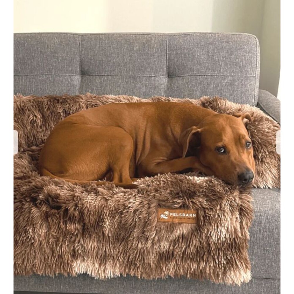 Pelsbarn Calming Dog Bed for Couch Sofa w Non-Slip Bottom XXL Beige Brown